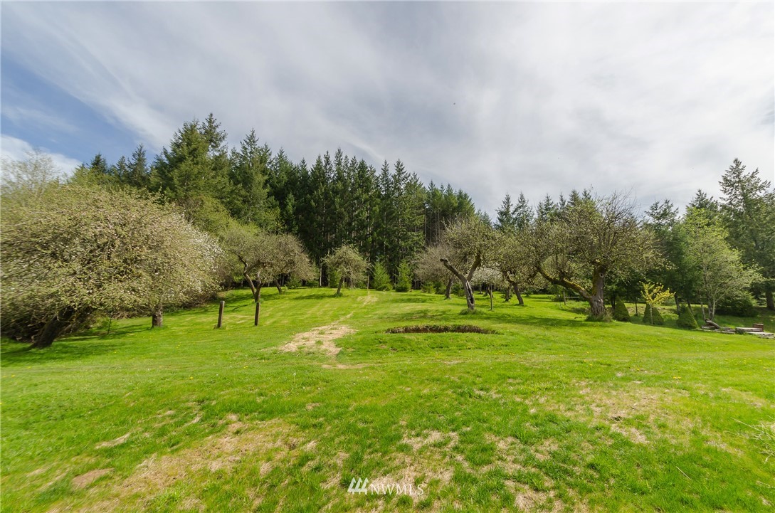 892 Pleasant Valley Road Chehalis, WA 98532 - Photo 23 of 24