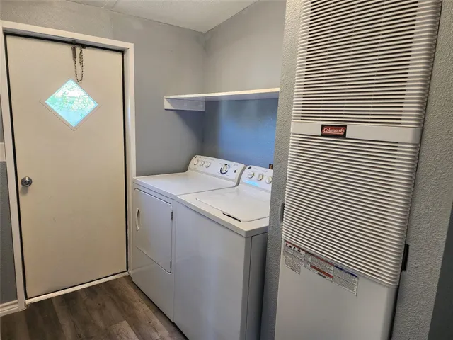 a view of a yard with plants and a large tree