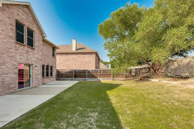 a view of a backyard with plants and large tree