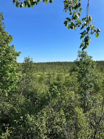 $149,900 | 169 Palisade Mn 56469, Palisade, MN 56469