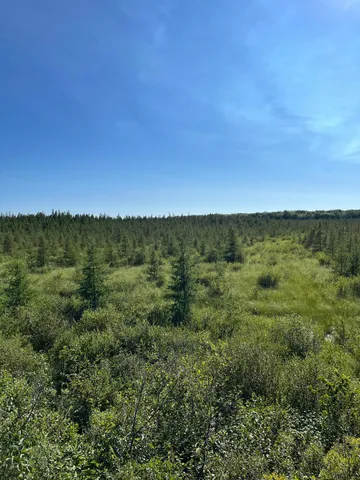 $149,900 | 169 Palisade Mn 56469, Palisade, MN 56469