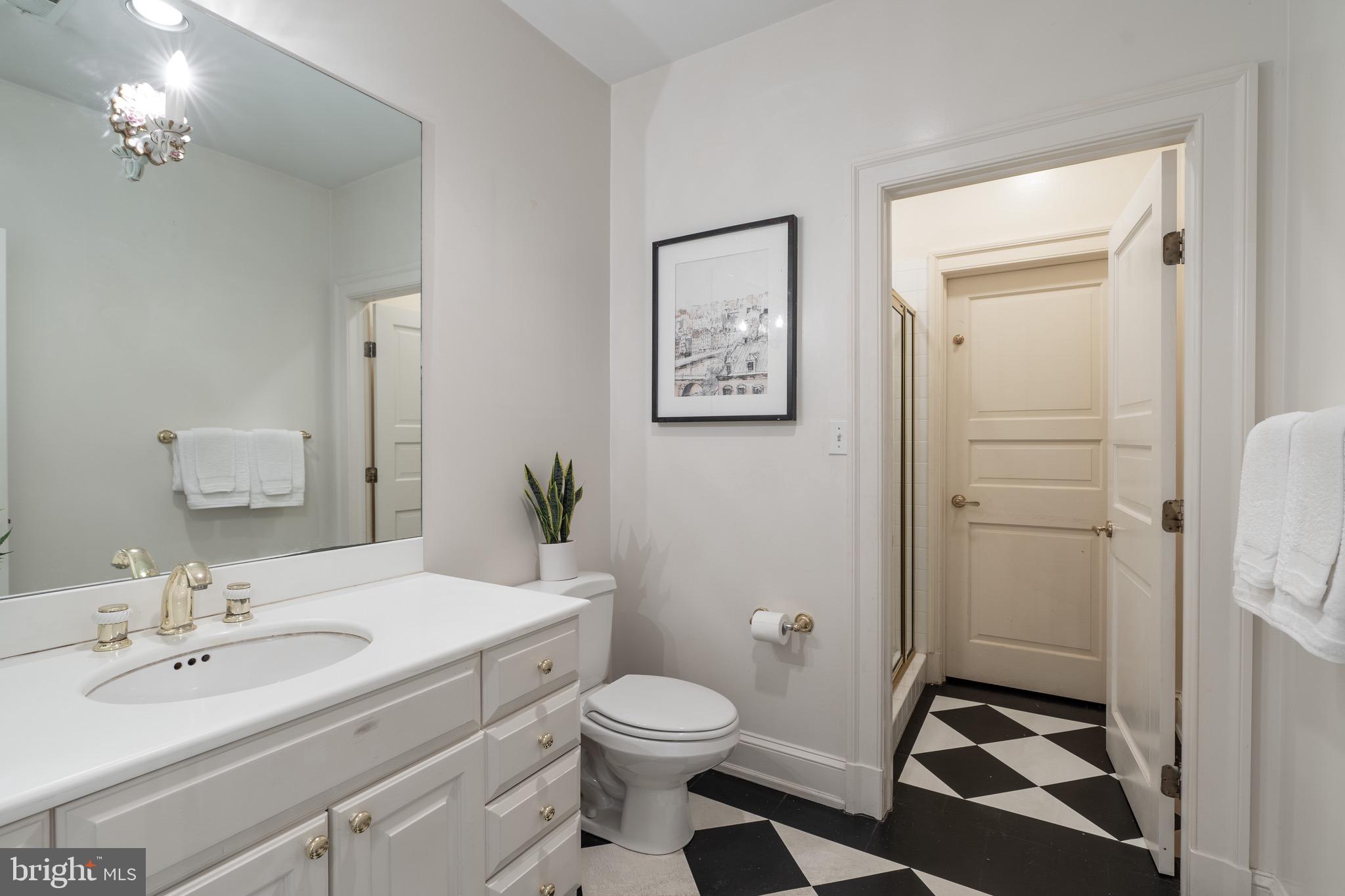 2230 S Street Northwest Washington, DC 20008 - Photo 57 of 59 Entry Level Bathroom