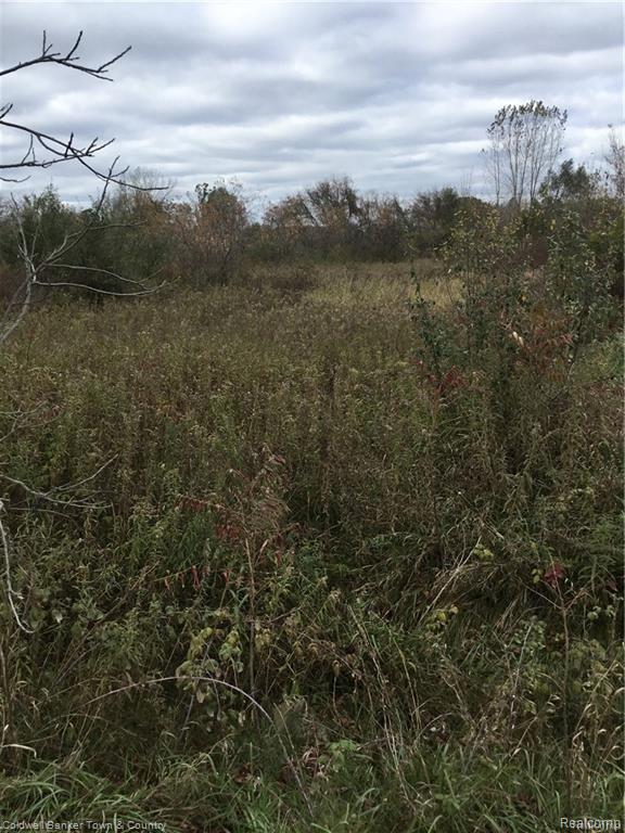 2 Braden Road Perry, MI 48872 - Photo 4 of 6