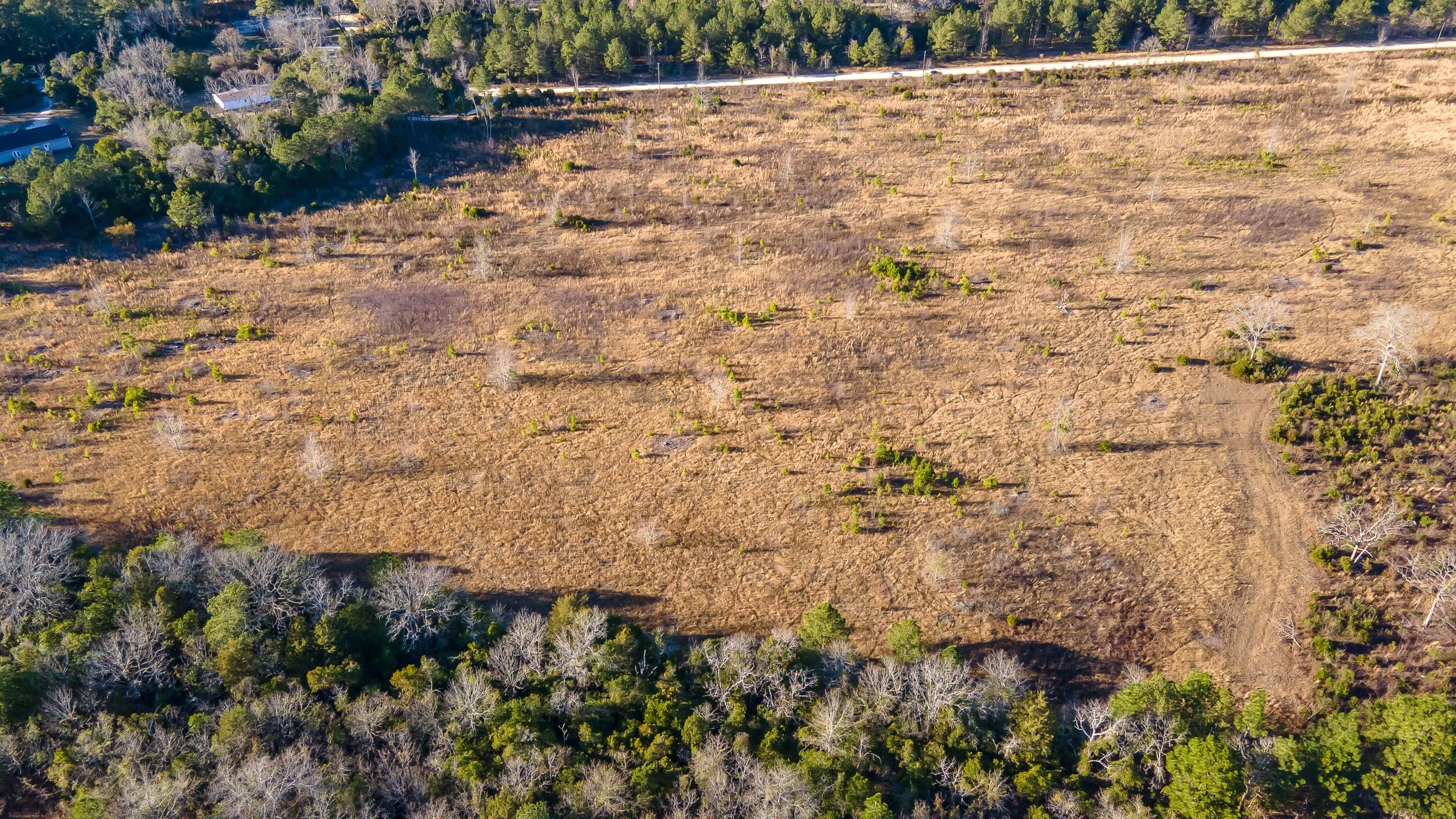 Lot 4 Old Shoals Road Monetta, SC 29105 - Photo 4 of 18