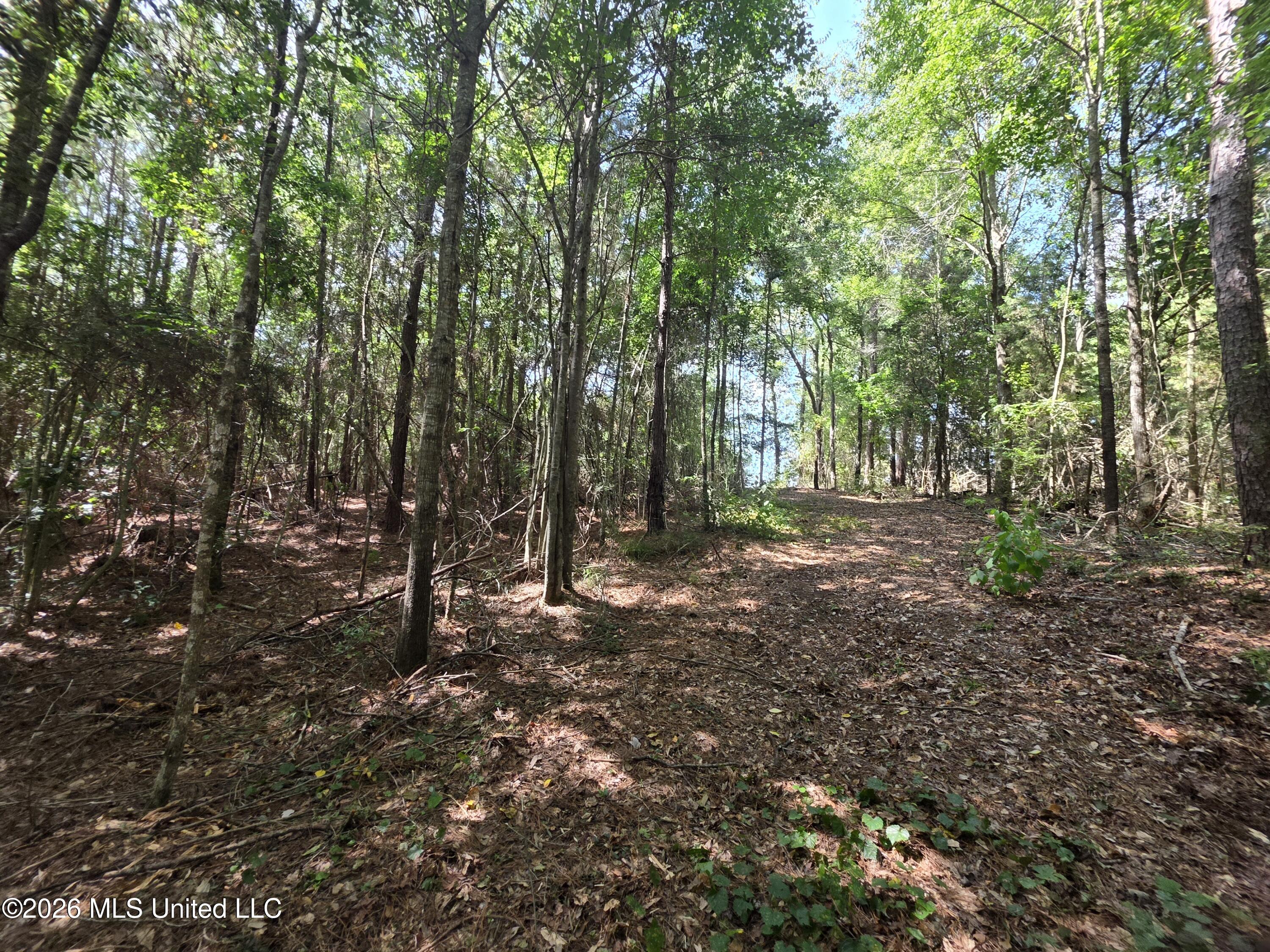 Mt Carmel Road Prentiss, MS 39474 - Photo 36 of 53 37962