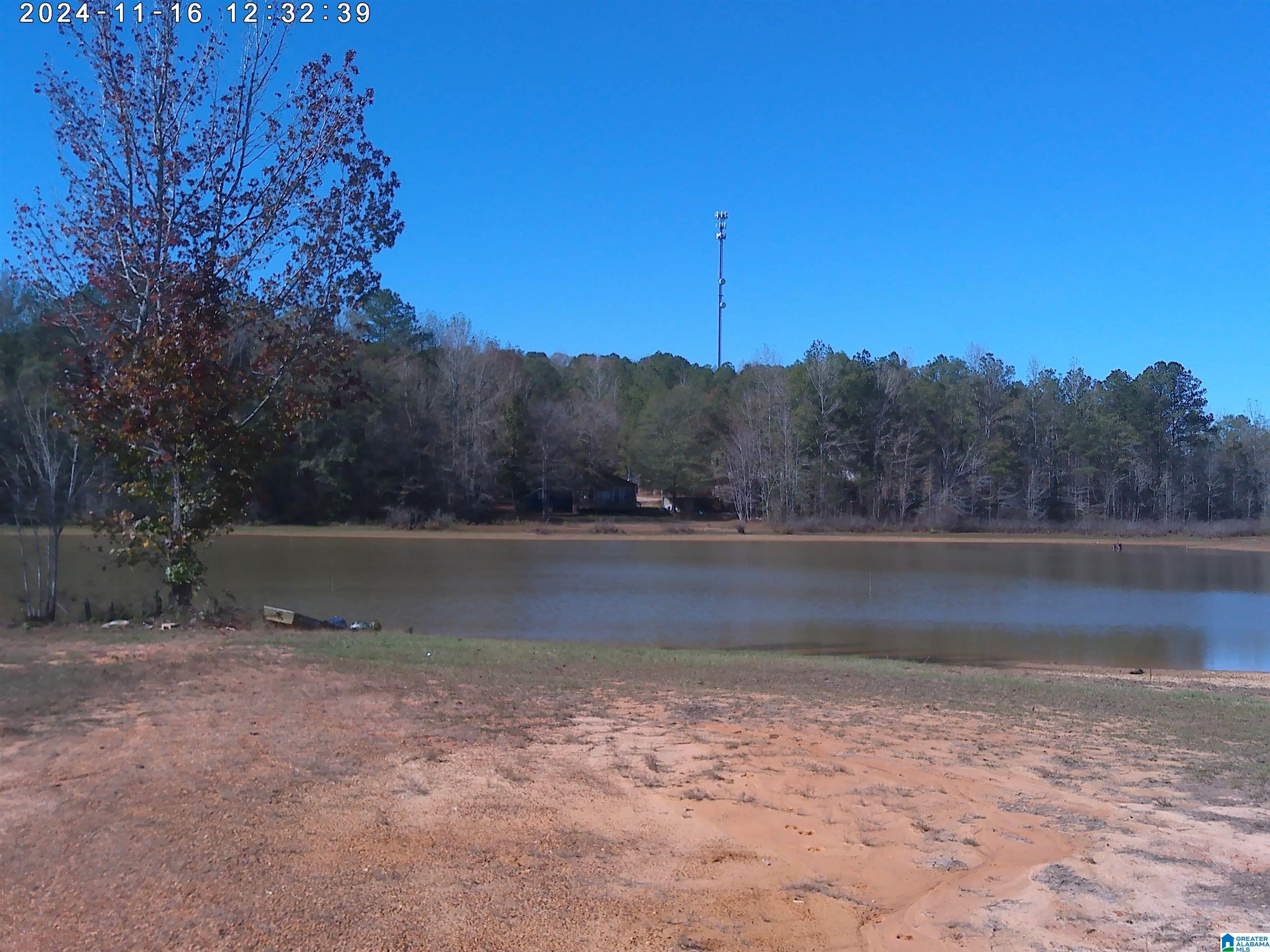 1897 Mount Pleasant Road, Unit 11 LOTS Millport, AL 35576 - Photo 3 of 8