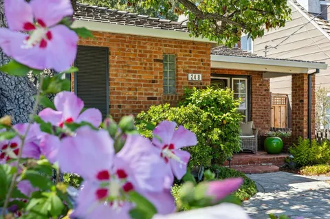 a view of a house with a yard and potted plants