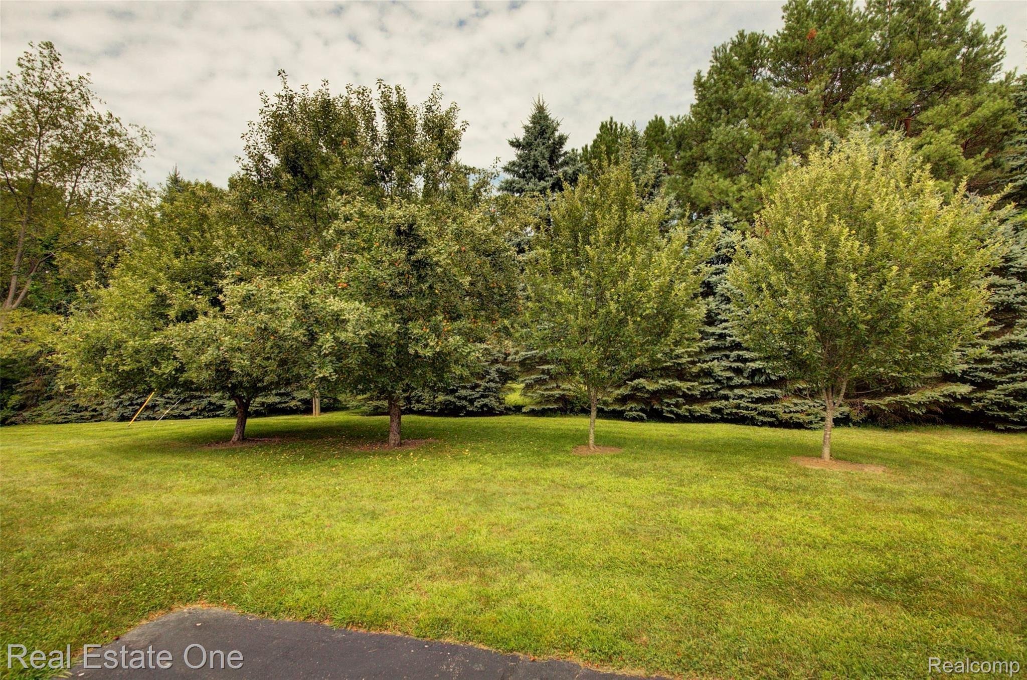 7112 Richardson Road Howell, MI 48843 - Photo 74 of 97 930A5095_6_7.jpg