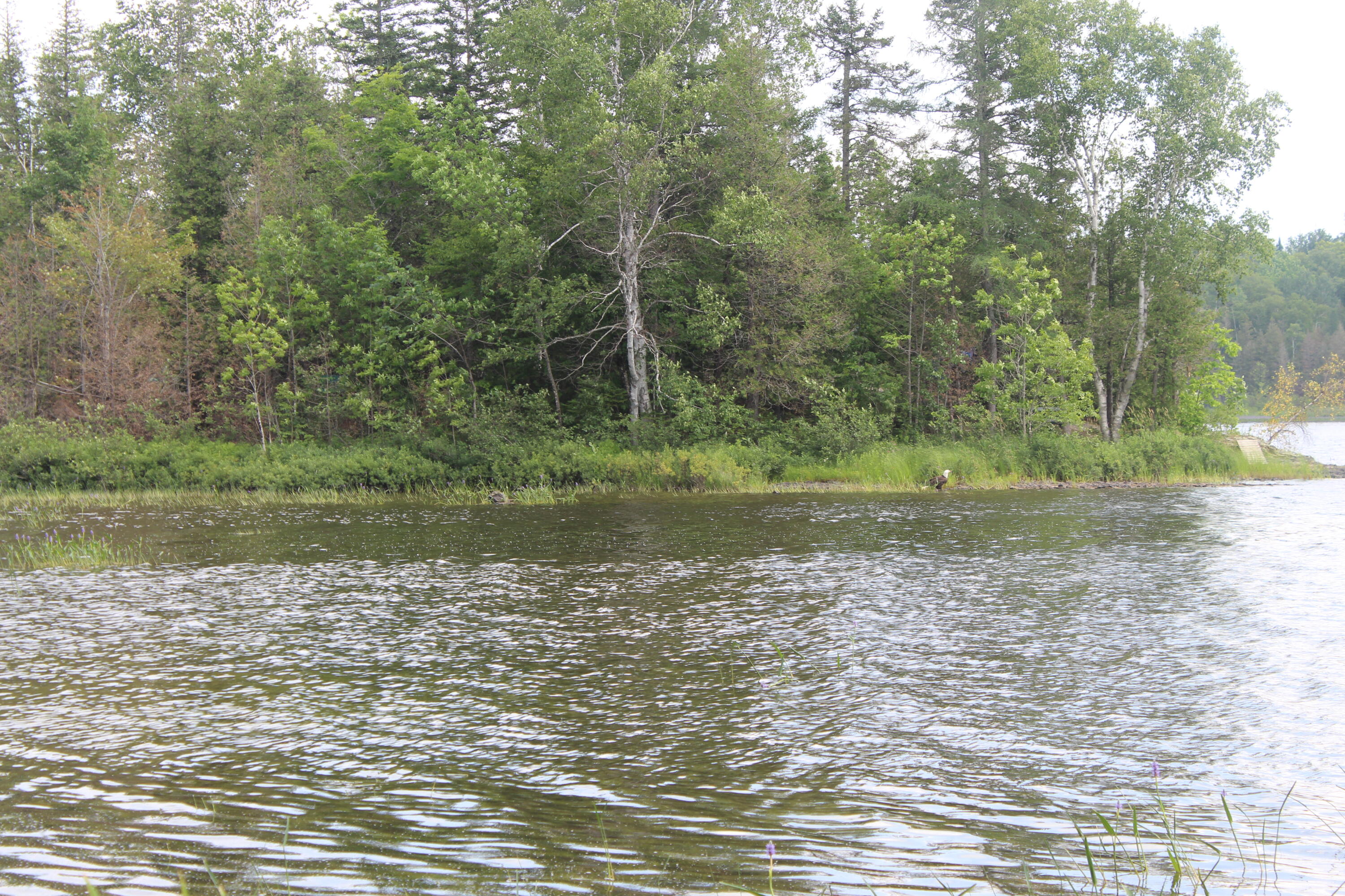 Undisclosed Address Oakfield, ME 04763 - Photo 85 of 117 IMG_5322