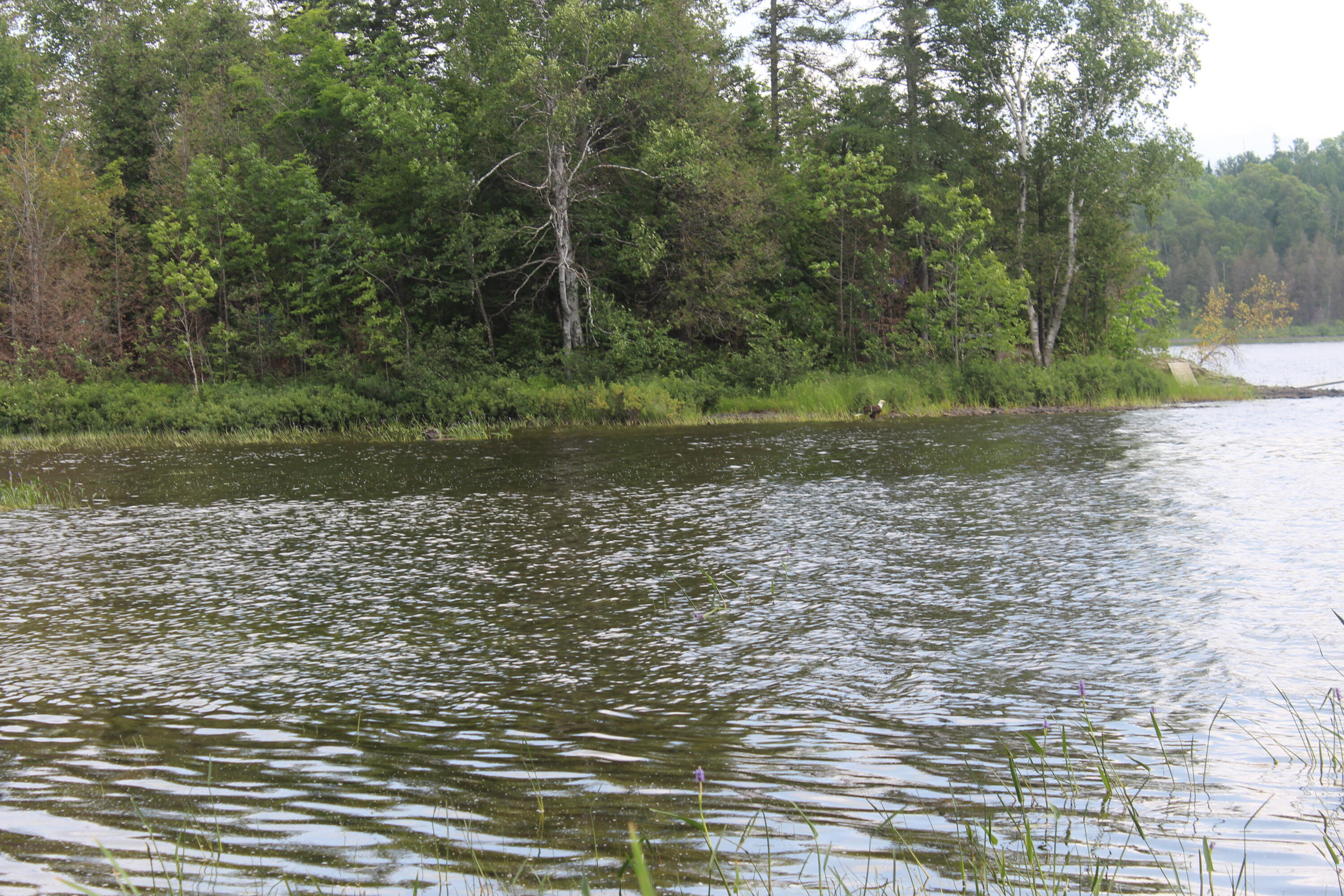 Undisclosed Address Oakfield, ME 04763 - Photo 86 of 117 IMG_5323