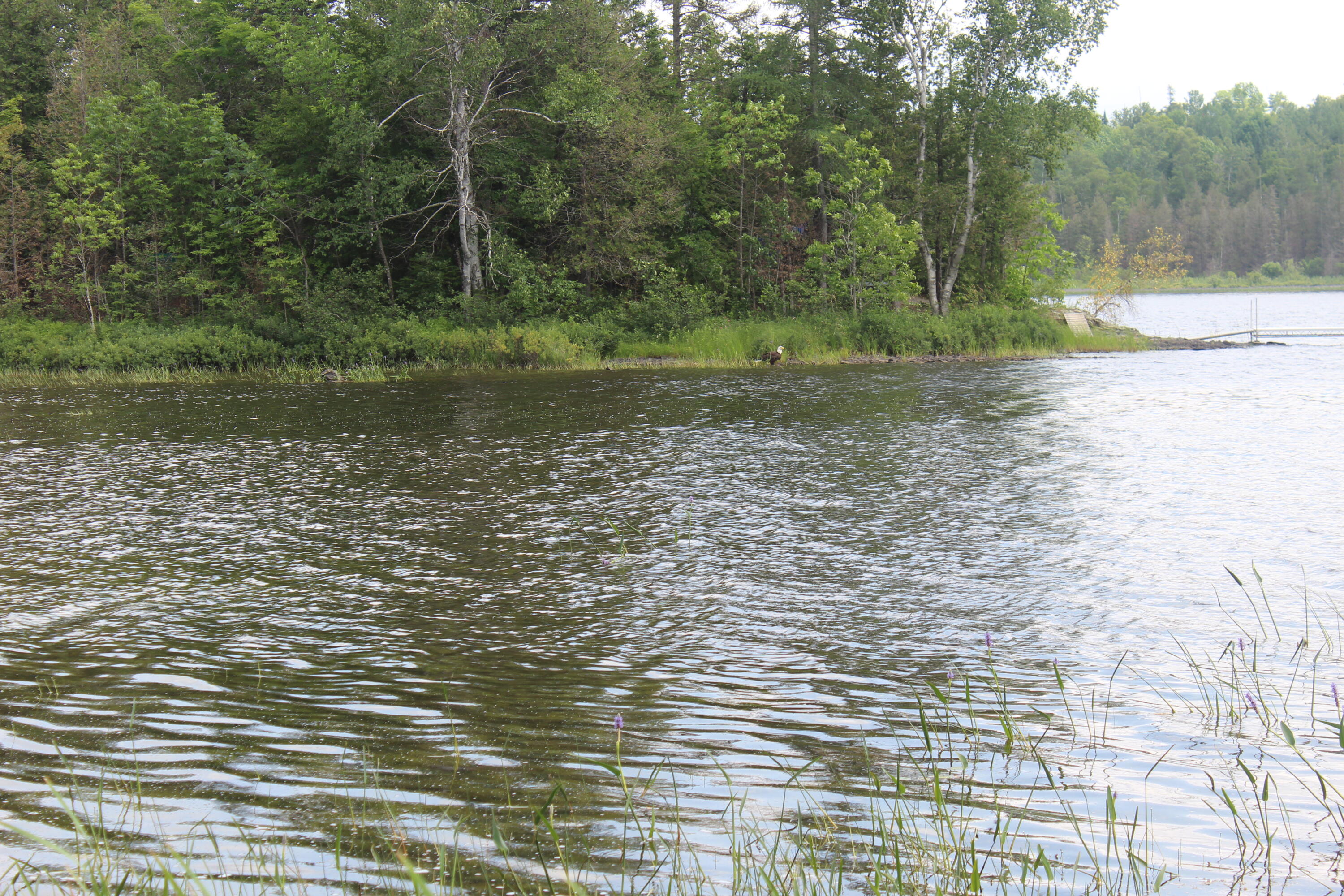 Undisclosed Address Oakfield, ME 04763 - Photo 87 of 117 IMG_5324