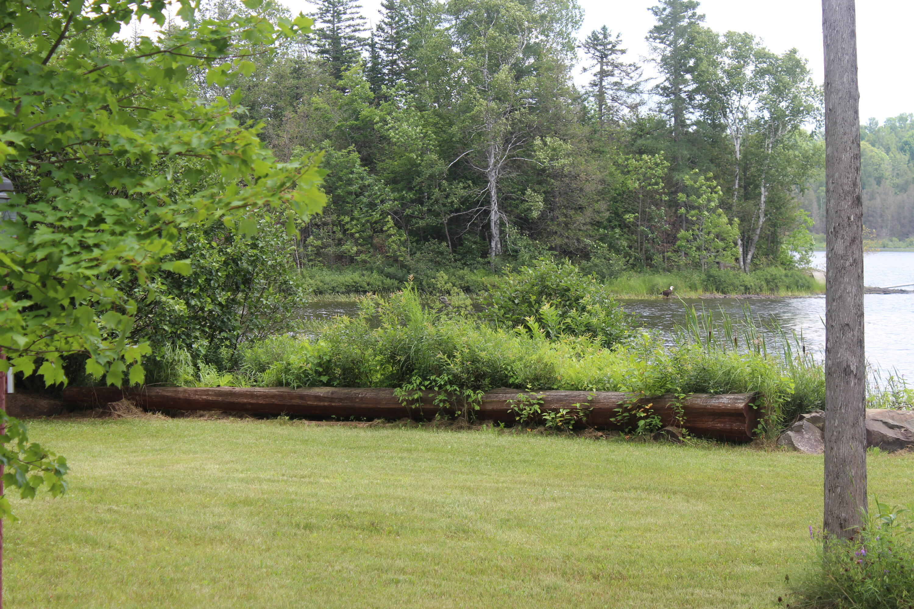 Undisclosed Address Oakfield, ME 04763 - Photo 88 of 117 IMG_5325