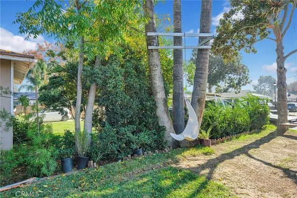 a view of a garden with plants
