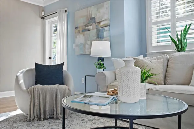 a living room with furniture and a potted plant