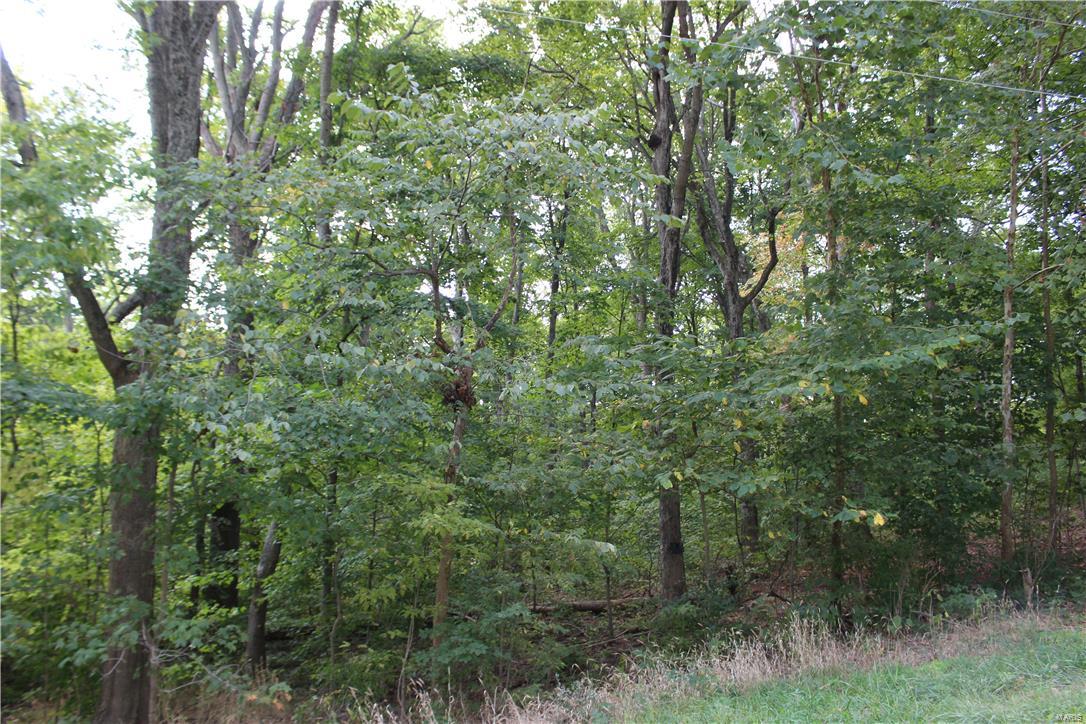 288 Rinderer Road Trenton, IL 62293 - Photo 1 of 3