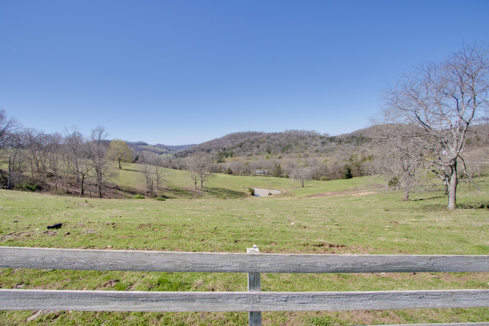 0 Sullivan Bend Road Elmwood, TN 38560 - Photo 5 of 12