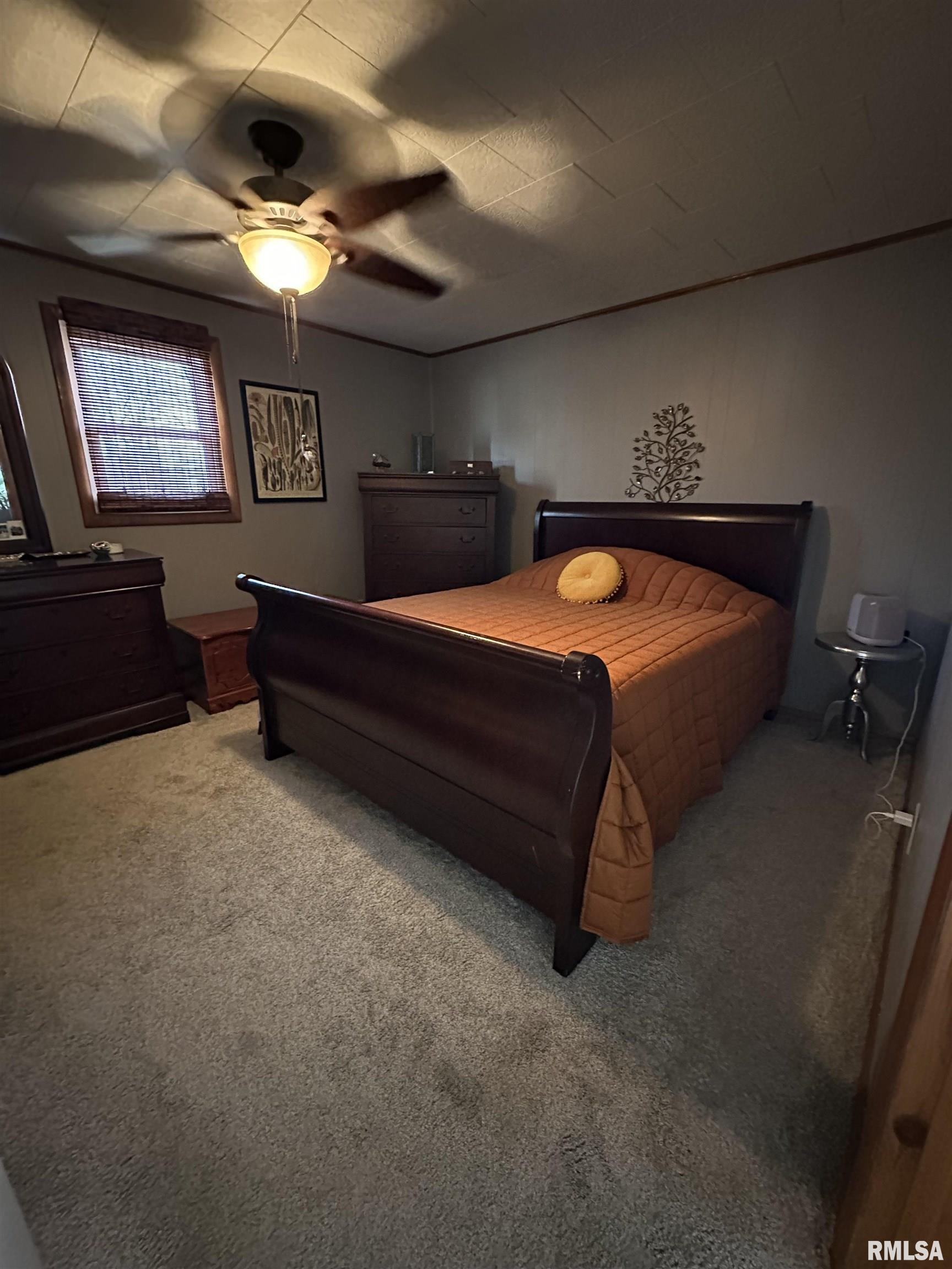 302 North Main Street Royalton, IL 62983 - Photo 21 of 26