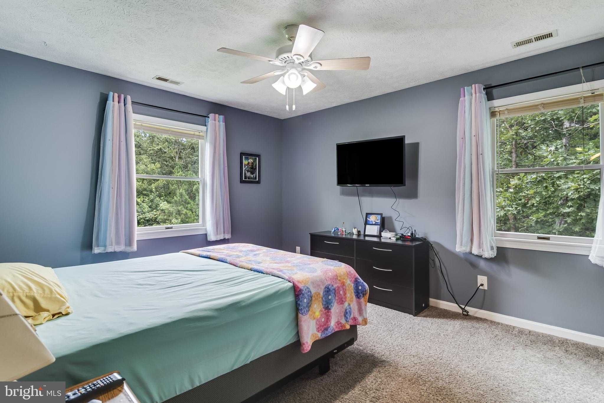 20919 Ridge Path Way Leonardtown, MD 20650 - Photo 16 of 56 a bedroom with a bed and a flat screen tv