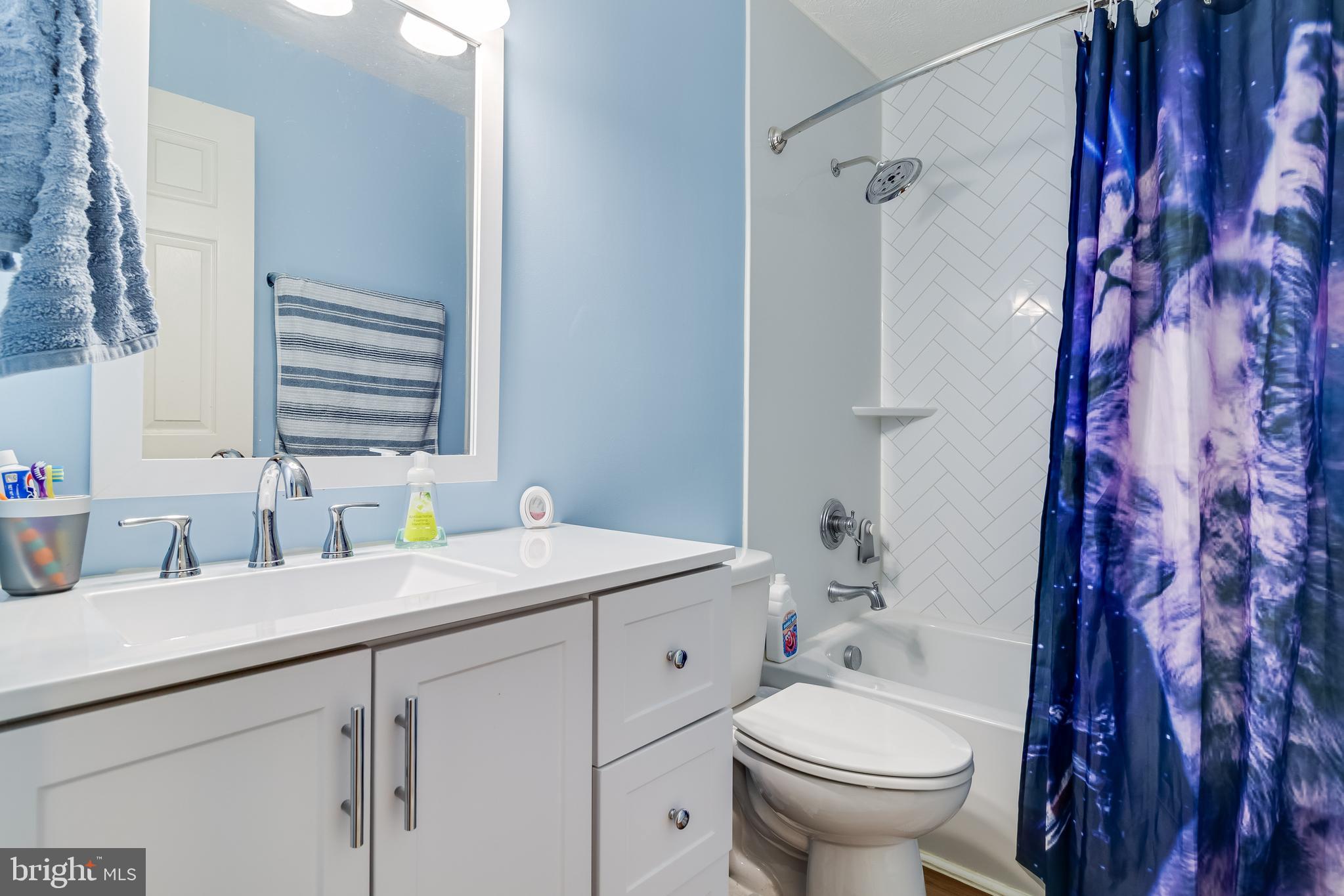 20919 Ridge Path Way Leonardtown, MD 20650 - Photo 17 of 56 a bathroom with a sink a toilet and a mirror