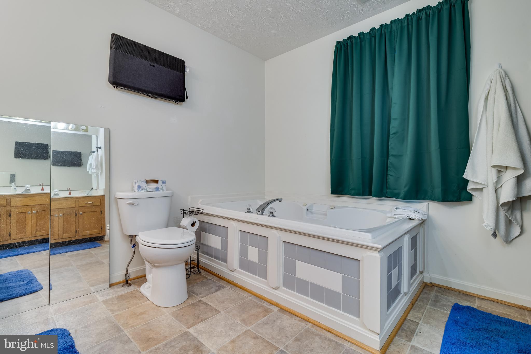 20919 Ridge Path Way Leonardtown, MD 20650 - Photo 18 of 56 a spacious bathroom with a toilet sink and mirror
