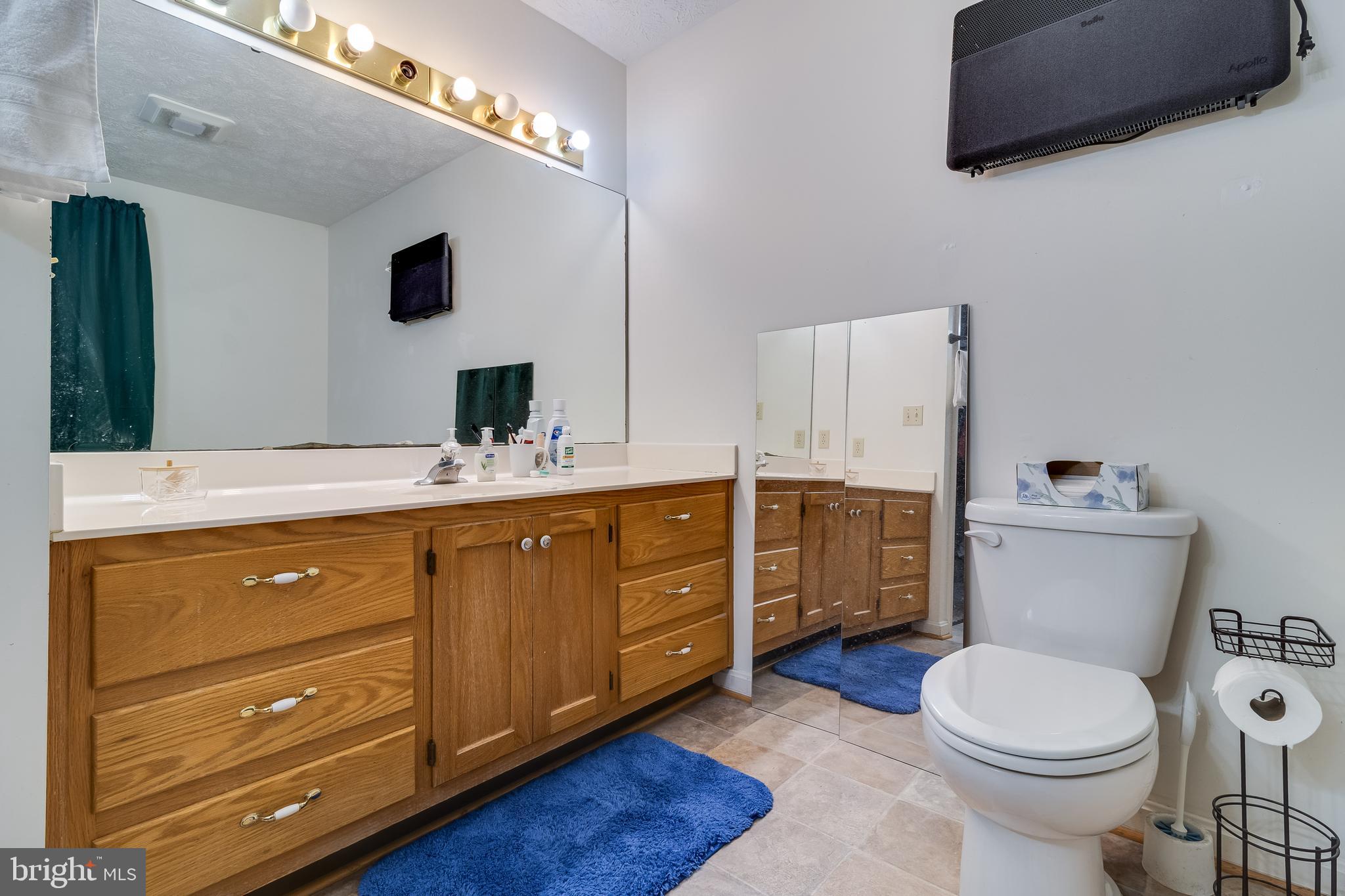20919 Ridge Path Way Leonardtown, MD 20650 - Photo 19 of 56 a bathroom with a toilet sink double vanity and mirror