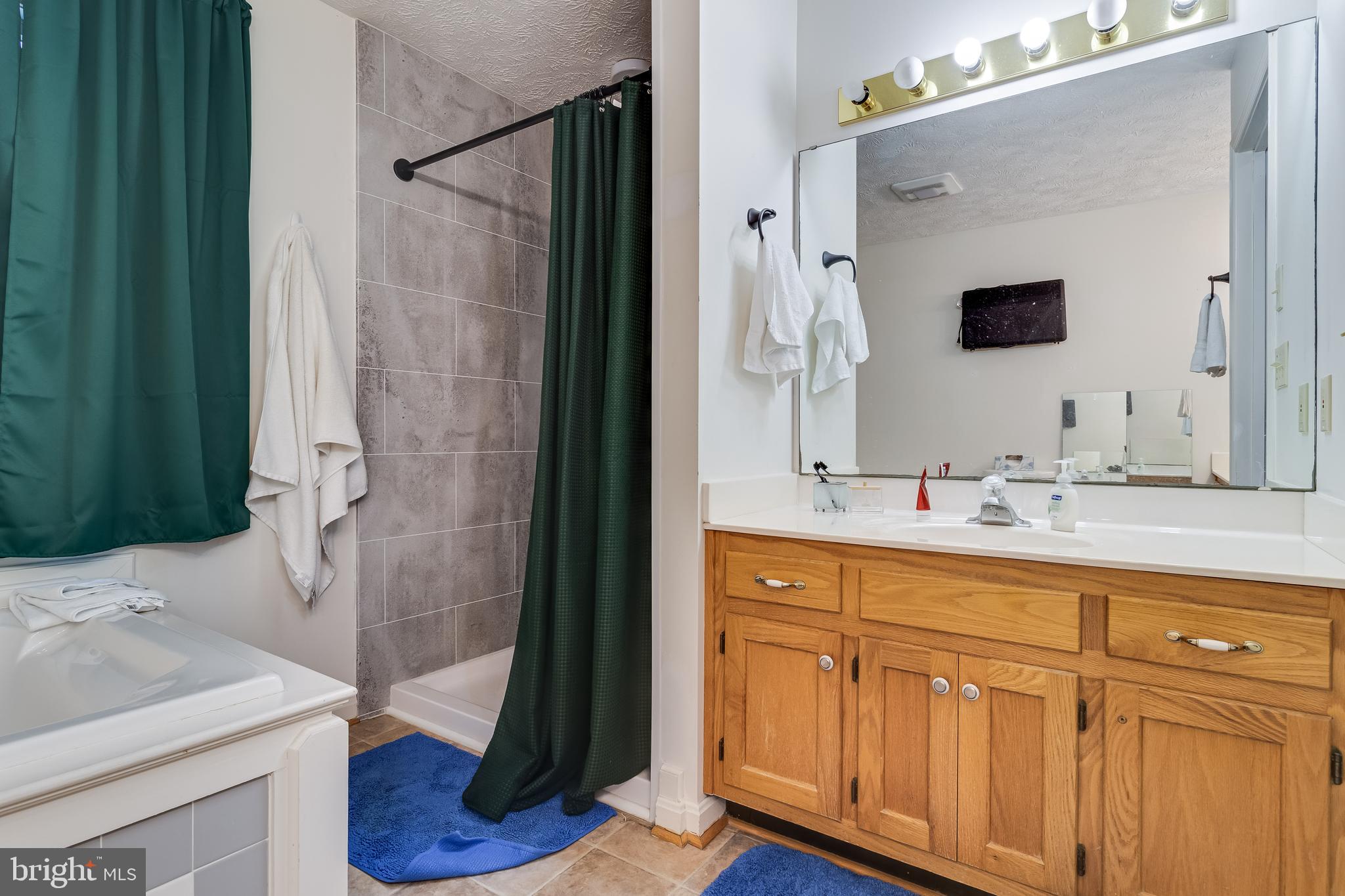 20919 Ridge Path Way Leonardtown, MD 20650 - Photo 20 of 56 a bathroom with a sink and a mirror