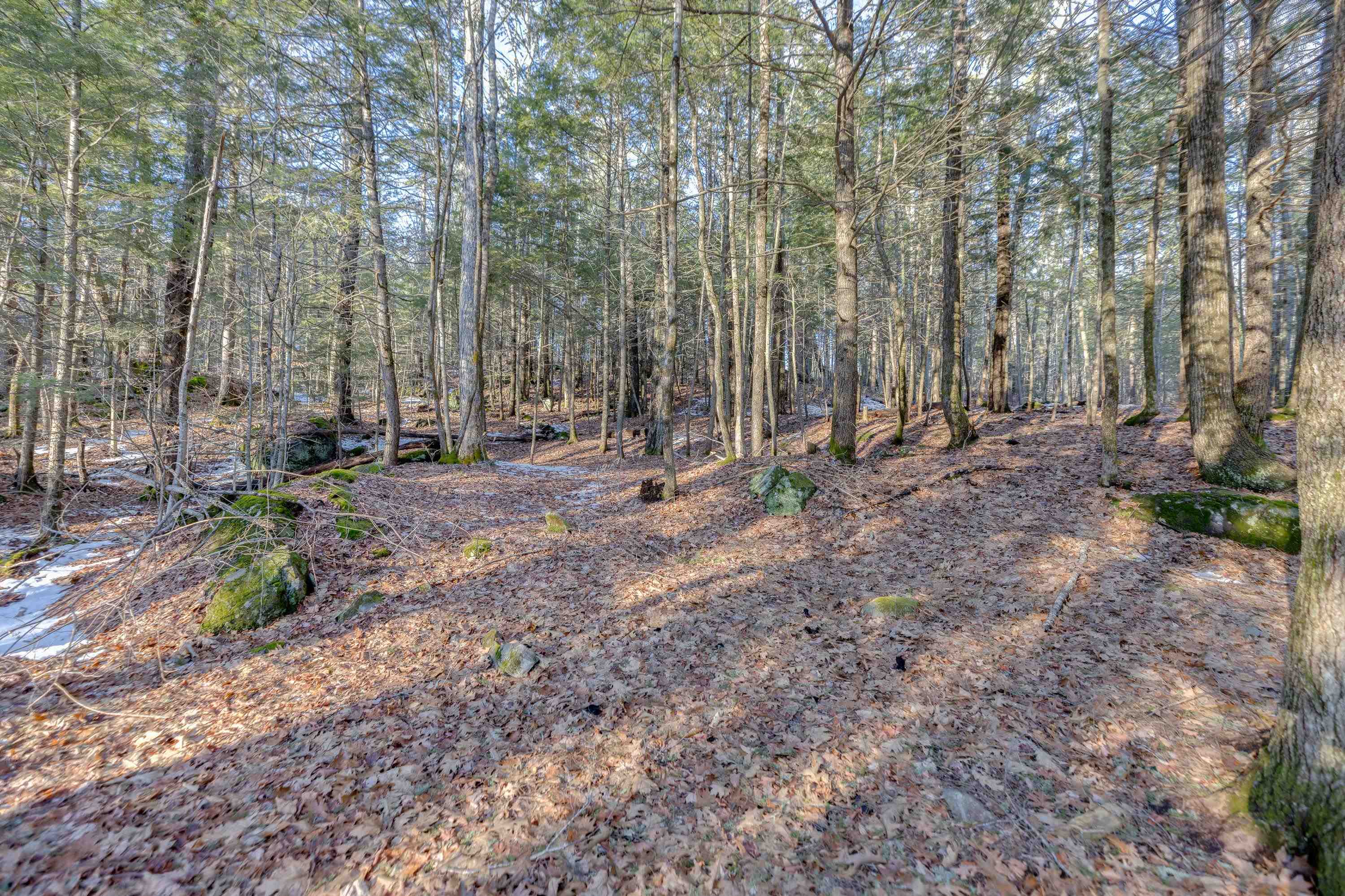 133 Seven Pines Road Holderness, NH 03245 - Photo 36 of 42