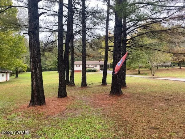 a view of outdoor space with a tree