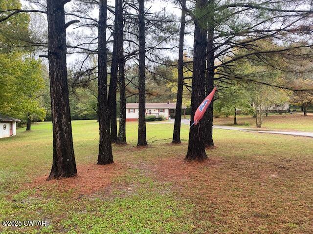 1885 Blue Goose Road Huron, TN 38345 - Photo 31 of 31 a view of outdoor space with a tree
