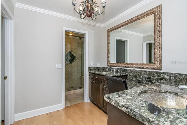 a bathroom with a shower and a toilet