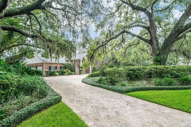 a view of a garden with plants and large trees