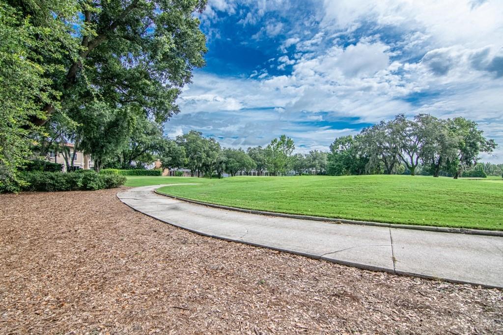 16405 Avila Boulevard Tampa, FL 33613 - Photo 58 of 61 a view of a golf course