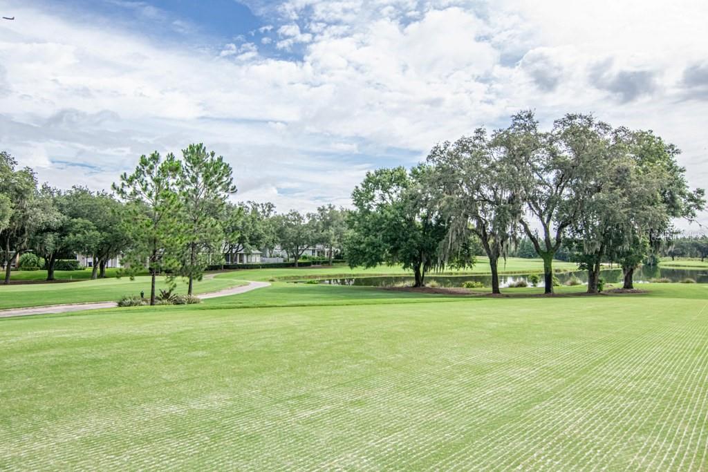 16405 Avila Boulevard Tampa, FL 33613 - Photo 60 of 61 a grassy field with trees in the background