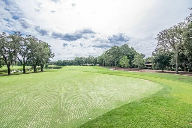 $8,250 | 16405 Avila Boulevard, Tampa, FL 33613