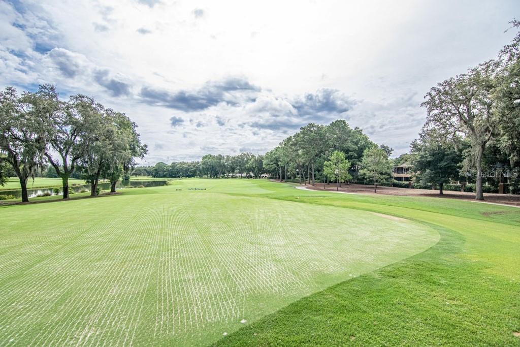 16405 Avila Boulevard Tampa, FL 33613 - Photo 61 of 61