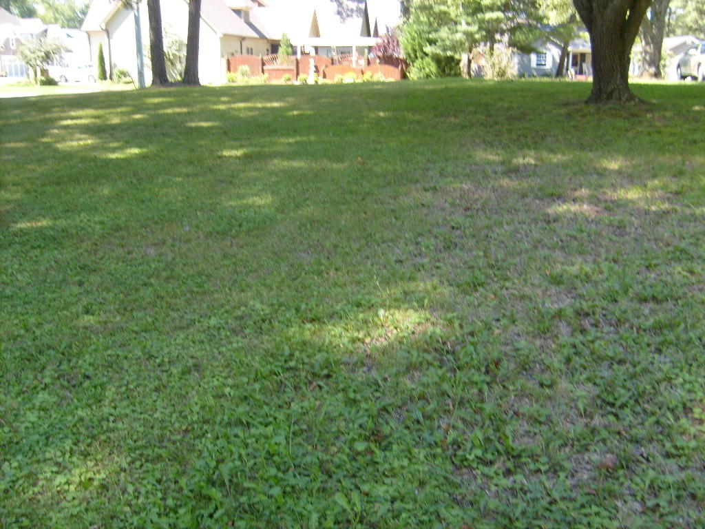 756 Gentry Road Chattanooga, TN 37421 - Photo 6 of 15 S6302755
