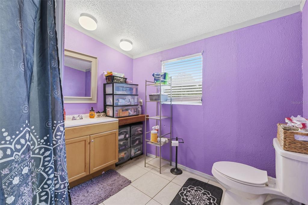 1890 Derosa Road Polk City, FL 33868 - Photo 13 of 20 a bathroom with a sink a toilet a mirror and vanity