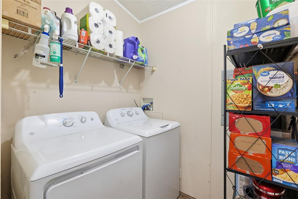 1890 Derosa Road Polk City, FL 33868 - Photo 10 of 20