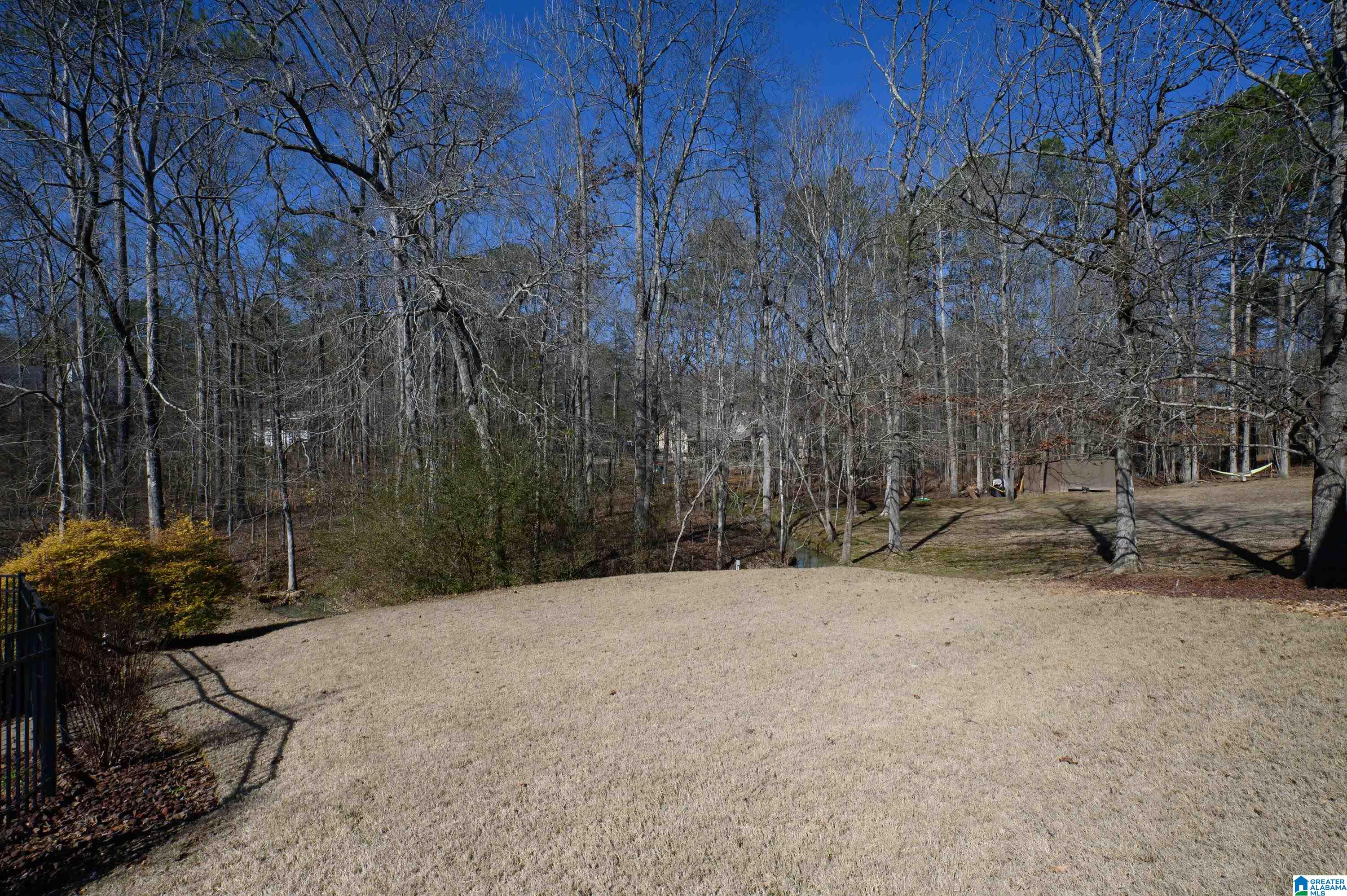 512 Baron Circle Chelsea, AL 35043 - Photo 66 of 81
