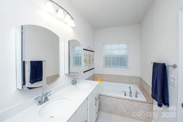 a bathroom with a tub a sink and a mirror