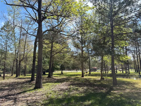 a view of a park with large trees