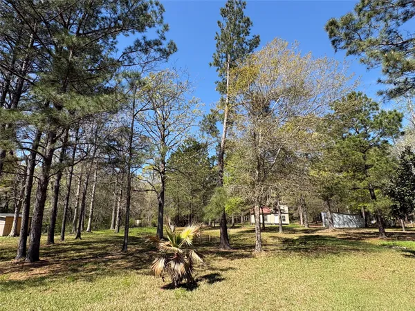 $135,000 | 1300 Cherry Creek Drive, Shepherd, TX 77371