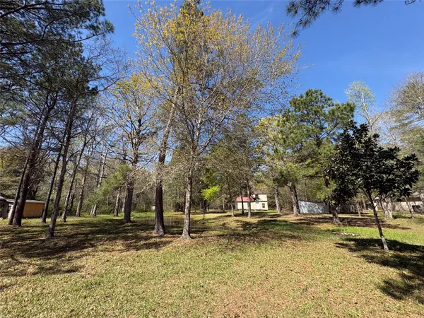 a view of a yard with trees