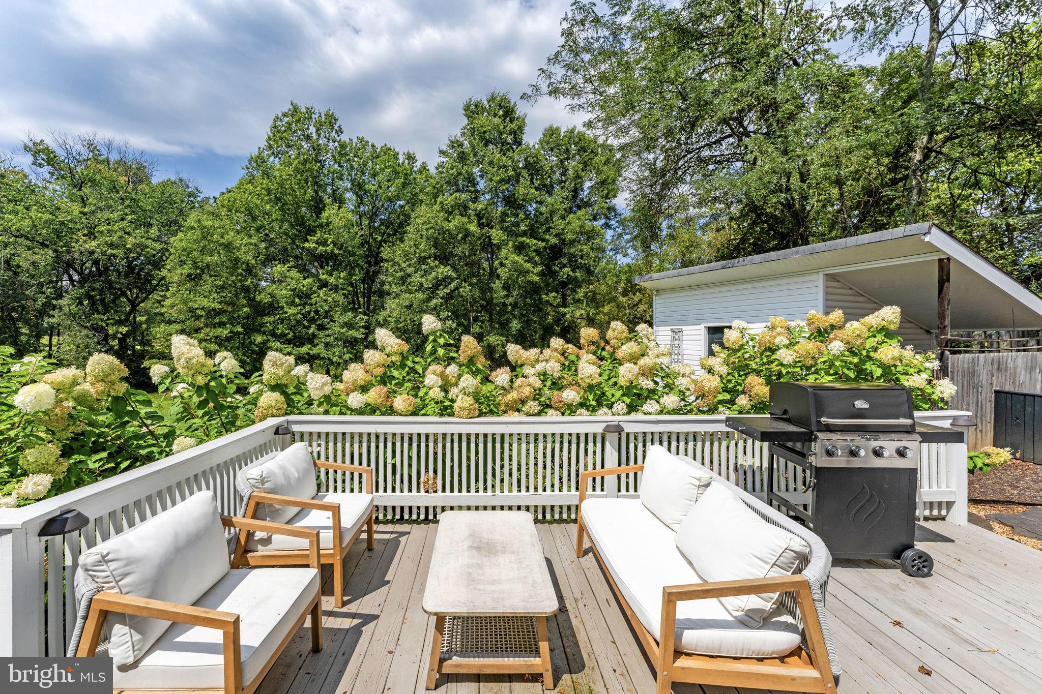 2838 Atoka Road Marshall, VA 20115 - Photo 41 of 50 Back patio