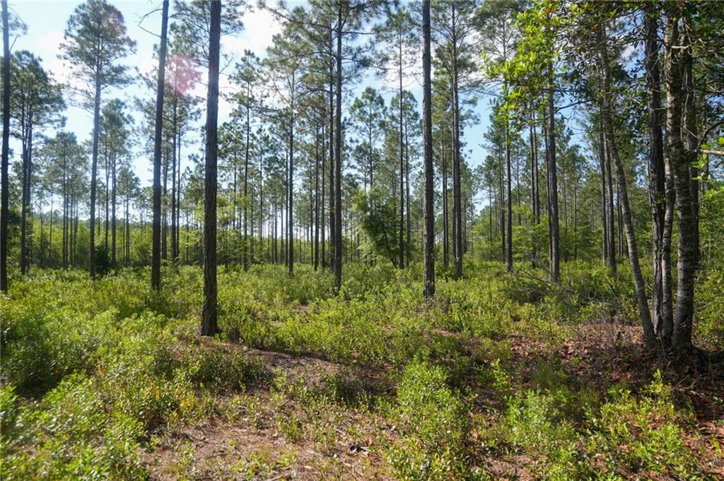 5015 Wood Duck Branch Road Blackshear, GA 31516 - Photo 1 of 12