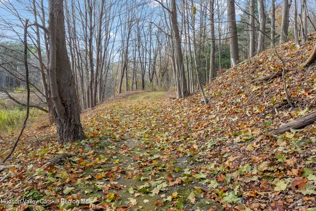 a backyard of a house with large trees