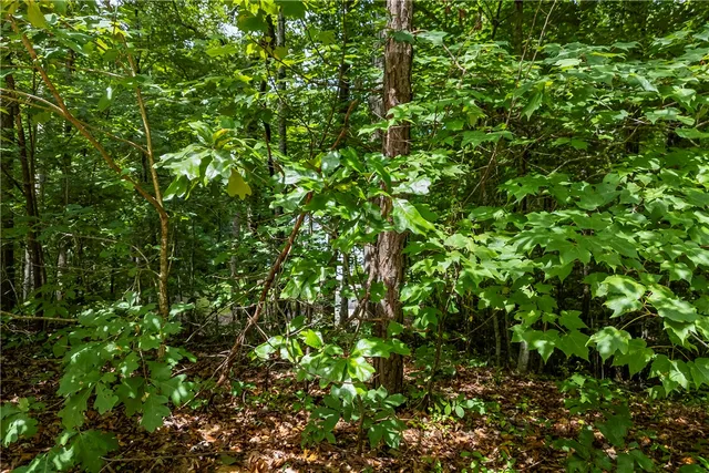 $137,450 | 301 North Summit Drive, Seneca, SC 29672