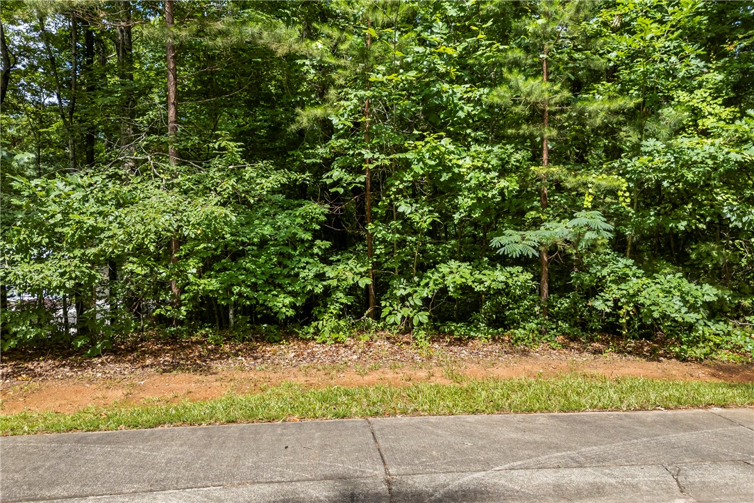 301 North Summit Drive Seneca, SC 29672 - Photo 26 of 38