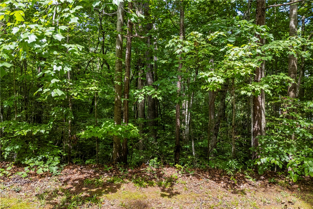 301 North Summit Drive Seneca, SC 29672 - Photo 28 of 38