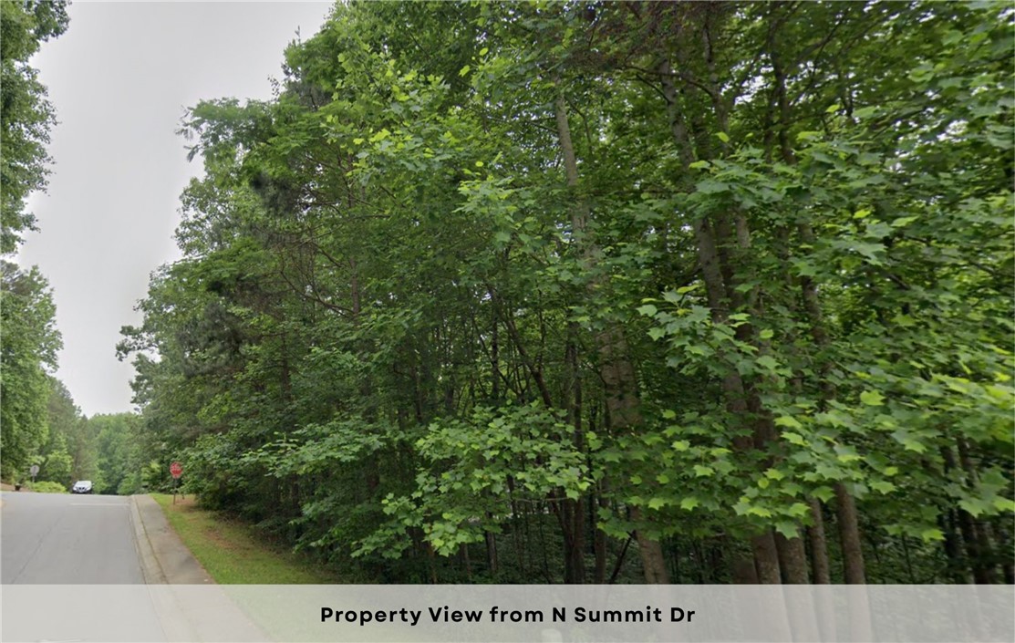 301 North Summit Drive Seneca, SC 29672 - Photo 5 of 38